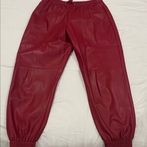 Zara Kids Burgundy Joggers